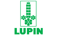Lupin